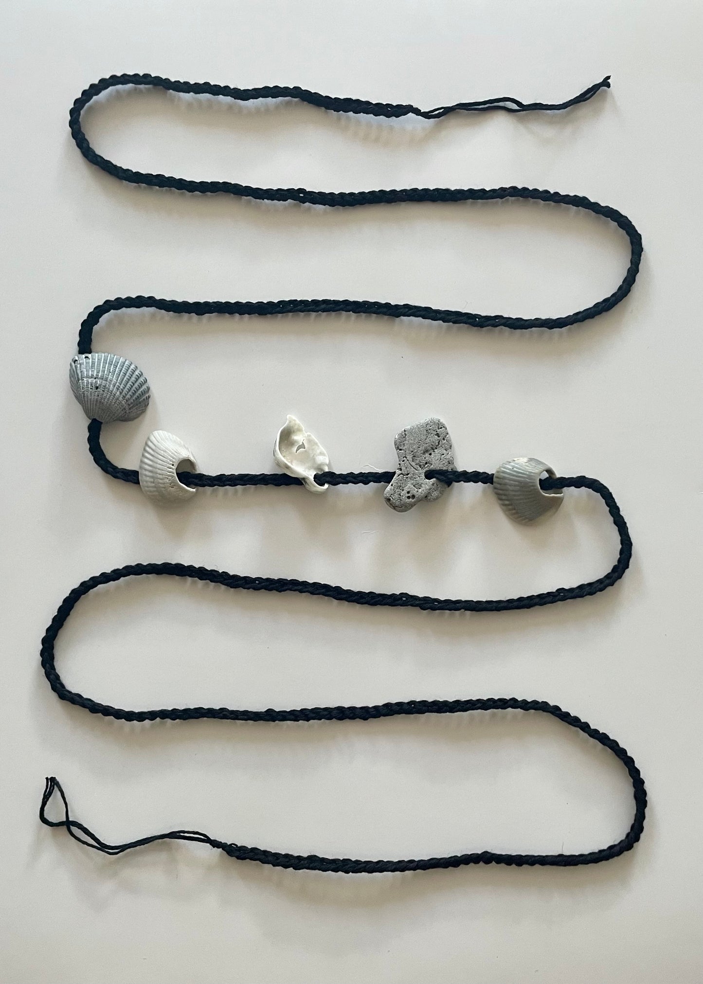 conch belt 39