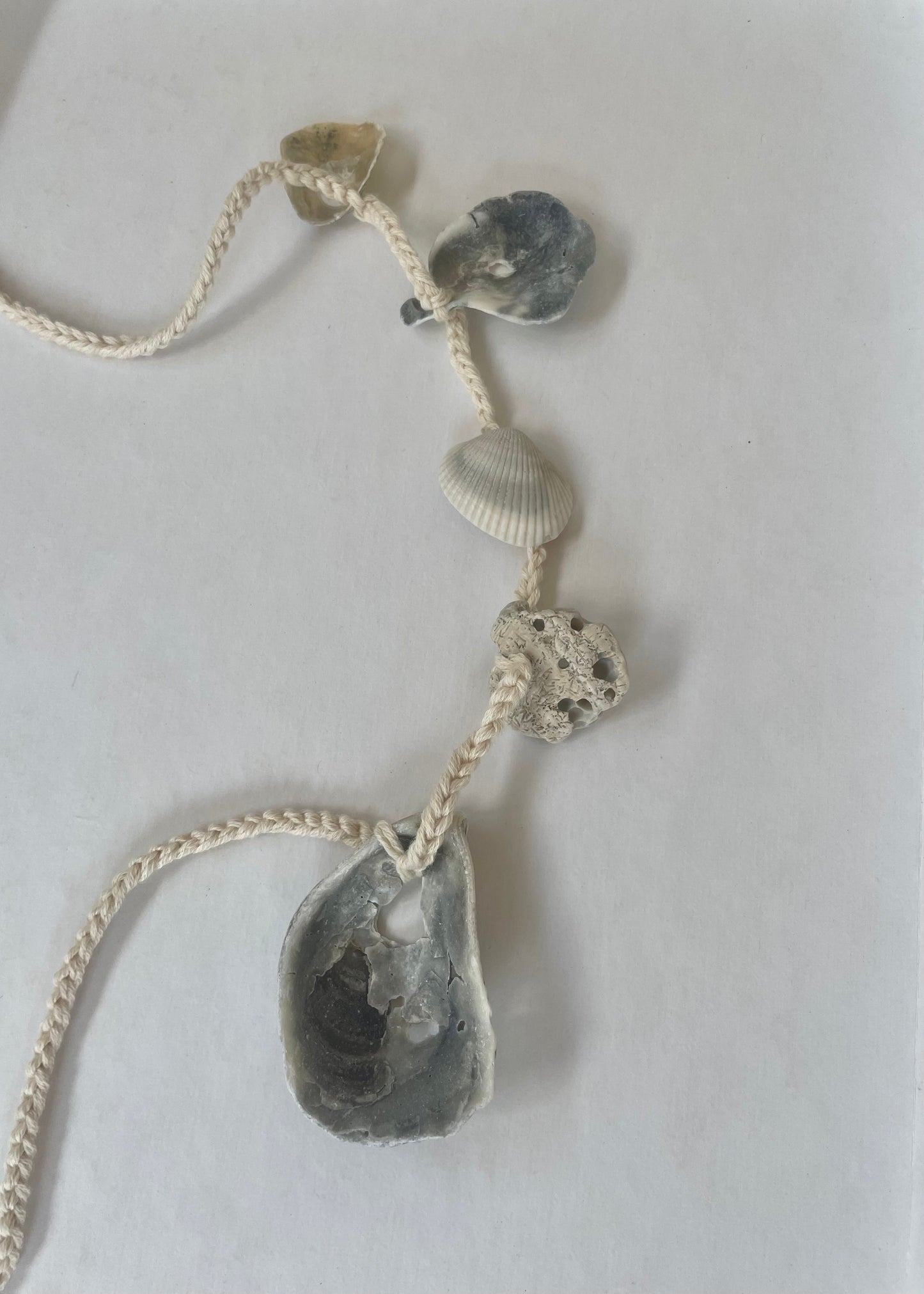 conch belt 40