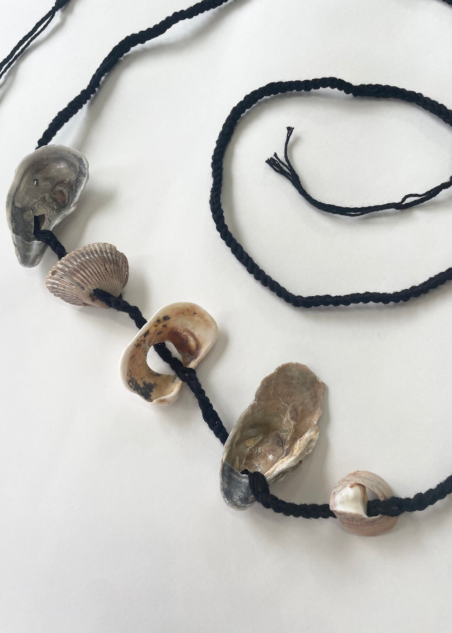 conch belt 38