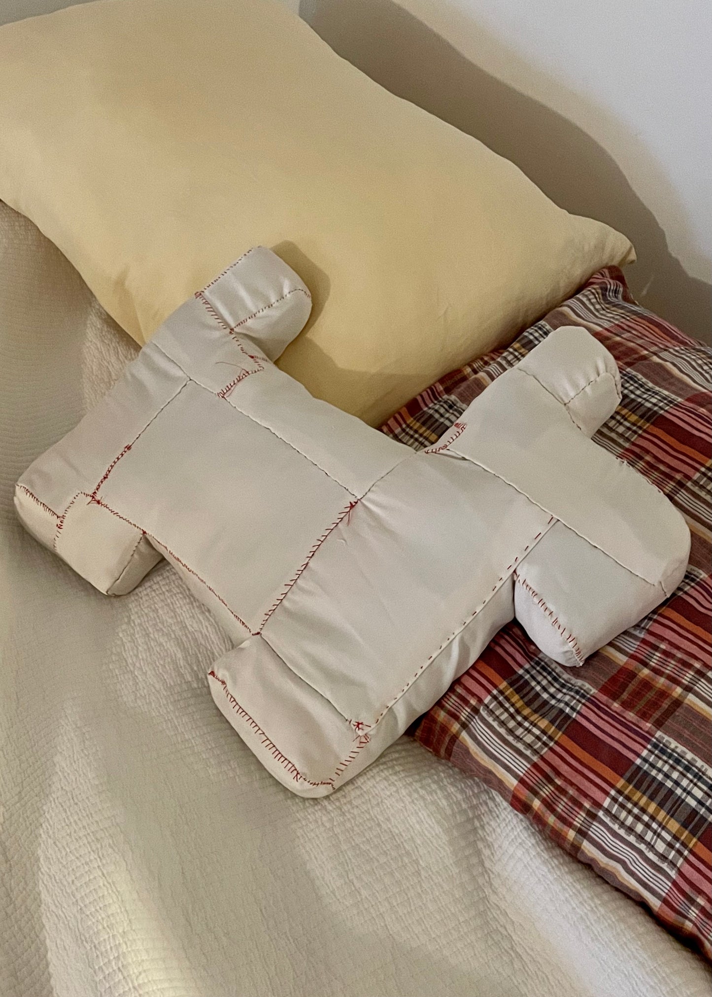 Dog Pillow