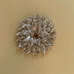 sun star brooch, mini