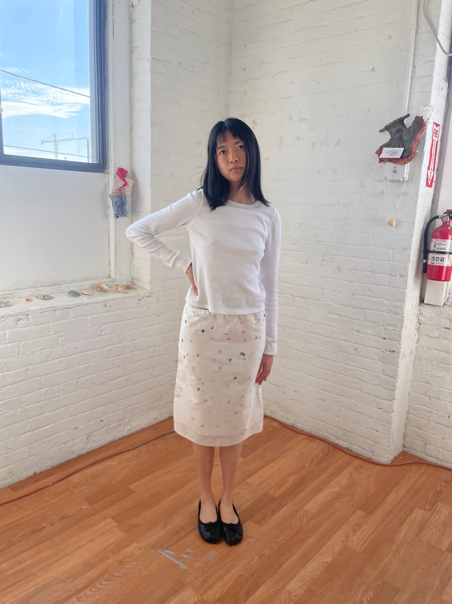 Dance Skirt