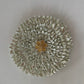 sun star brooch
