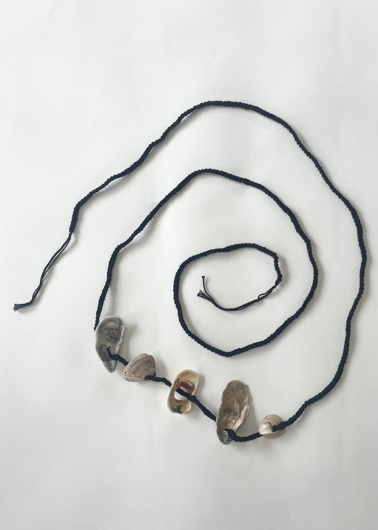 conch belt 38